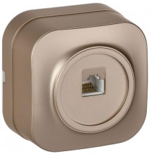 GLORY Розетка компьютерная RJ45 кат.5E о/у РК10-ХШм шампань матовый  EKH10-K37M  IEK