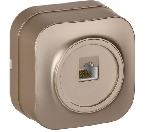 GLORY Розетка компьютерная RJ45 кат.5E о/у РК10-ХШм шампань матовый  EKH10-K37M  IEK