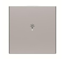 SRL-1-85PL Клавиша одинарная free@home, SKY, освещение, серебристая2CLA852626A1301 ABB