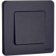Inspiria Антрацит Выключатель 1-клавишный С/У без рамки  673603  Legrand