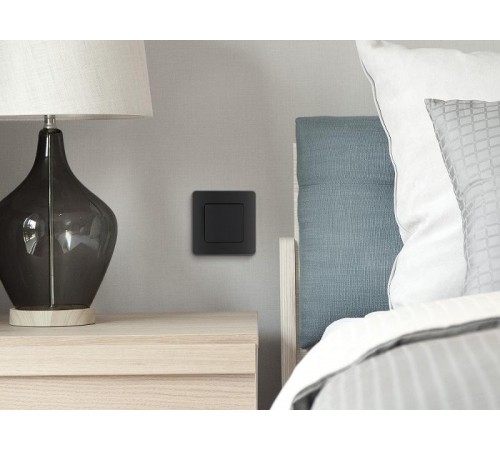 Inspiria Антрацит Выключатель 1-клавишный С/У без рамки  673603  Legrand