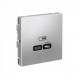 ArtGallery Алюминий Розетка USB тип-С 65Вт высокоскор.заряд. QC, PD, механизм  GAL000327  SE