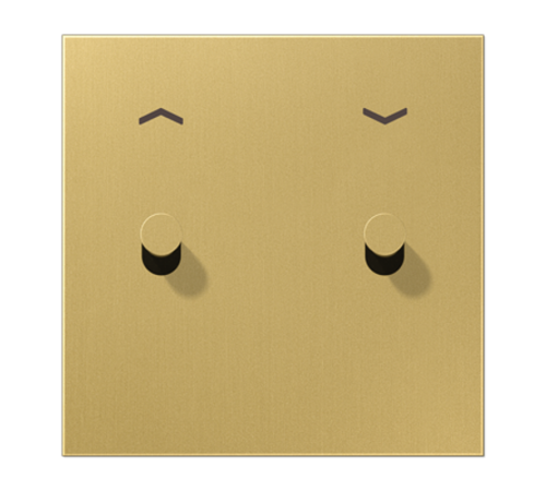 Центральная плата с символом "стрелки", 1 пост, 2 тумблера,конус; металлическое исполнение; латунь классик; серия LS  ME12-5PCK25  Jung