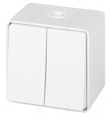 Выключатель 2-клавишный ЭРА Эксперт 11-1504-01 IP55, 10АХ-250В, ОУ, Белый  Б0063257  ЭРА