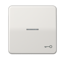 Клавиша с окошком и символом "ключ" для выключателей с подсветкой; светло-серая  CD590KO5TLG  Jung