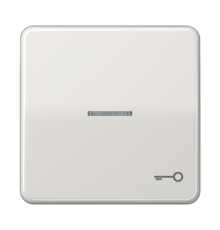 Клавиша с окошком и символом "ключ" для выключателей с подсветкой; светло-серая  CD590KO5TLG  Jung