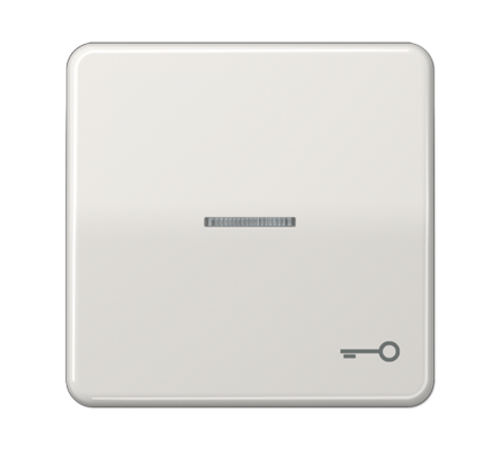 Клавиша с окошком и символом "ключ" для выключателей с подсветкой; светло-серая  CD590KO5TLG  Jung