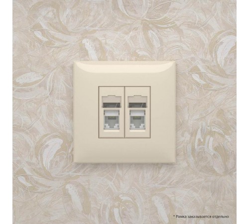 Розетка RJ-45 в стену, 5e двойная, Avanti, "Ванильная дымка"  4405464  DKC