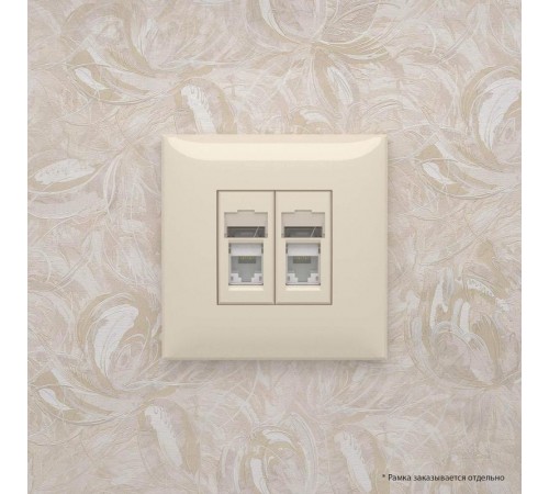 Розетка RJ-45 в стену, 5e двойная, Avanti, "Ванильная дымка"  4405464  DKC