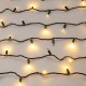 Светодиодная гирлянда ARD-STRING-CLASSIC-1000-BLACK-100LED-PULSE Warm (230V, 7W) (Ardecoled, IP65)  031649  Arlight