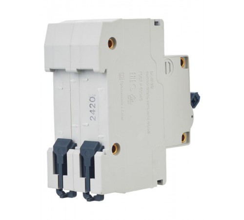 Выключатель автоматический двухполюсный ВА47-29 20А C 4,5кА  MVA25-2-020-C  GENERICA