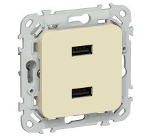 FLITE Розетка USB A+A 2,1А РЮ-2-ФлН навахо  FI-U21-D31-K87  IEK