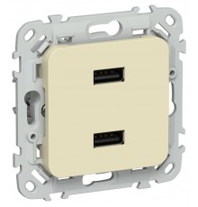 FLITE Розетка USB A+A 2,1А РЮ-2-ФлН навахо  FI-U21-D31-K87  IEK