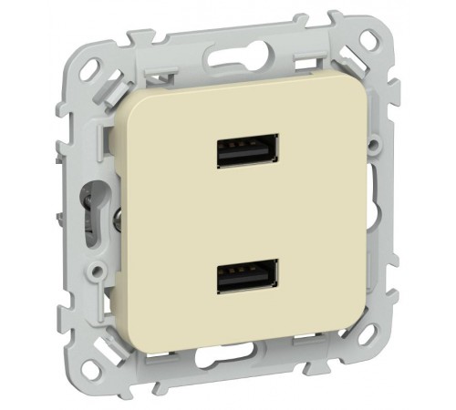 FLITE Розетка USB A+A 2,1А РЮ-2-ФлН навахо  FI-U21-D31-K87  IEK