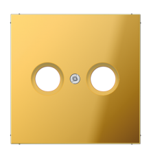 Крышка для телевизионной розетки; металл цвета золота  GO2990TV  Jung