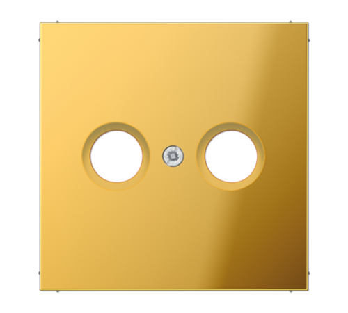 Крышка для телевизионной розетки; металл цвета золота  GO2990TV  Jung