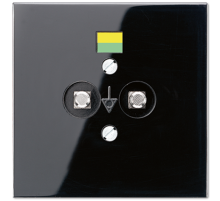 Розетка штепсельная для выравнивания потенциалов; чёрная  LS965-2SW  Jung