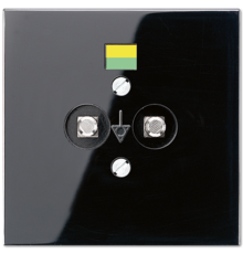 Розетка штепсельная для выравнивания потенциалов; чёрная  LS965-2SW  Jung