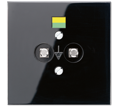 Розетка штепсельная для выравнивания потенциалов; чёрная  LS965-2SW  Jung