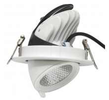 Светильник светодиодный CDL-250-S 10Вт 3000К 15° белый  60924DEK  DEKraft