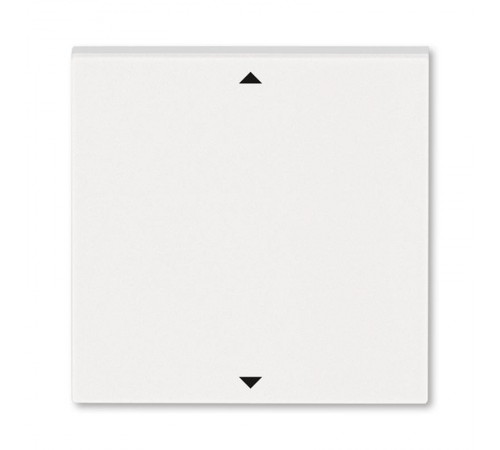 Управляющий элемент Busch-Jalousiecontrol®II ABB Levit с маркировкой жемчуг / ледяной  2CHH700110A4068  ABB