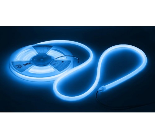 Лента светодиодная термостойкая для бани  LS2835-9,6-120-24-B-IP68-3 year-5m (синий)   Б0062350  ЭРА