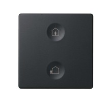 Сенсорный 2-кл выключатель с тематической маркировкой Т1, графит  8000623-038  Simon