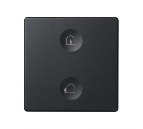 Сенсорный 2-кл выключатель с тематической маркировкой Т1, графит  8000623-038  Simon