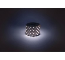 Лента светодиодная  LS5050 -14,4-60-12-6500K-IP20-1 year-5m холодный белый 5м  Б0059910  ЭРА