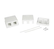 Универсальная розетка, 2 порта  для модулей Keystone  (для модулей форм-фактора A10)  RNW2WH  DKC