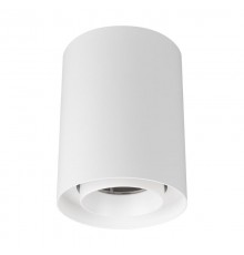 Светильник SP-FOCUS-R110-18W Day4000 (WH, 50 deg, 230V) (Arlight, IP54 Металл, 5 лет)  054866  Arlight 