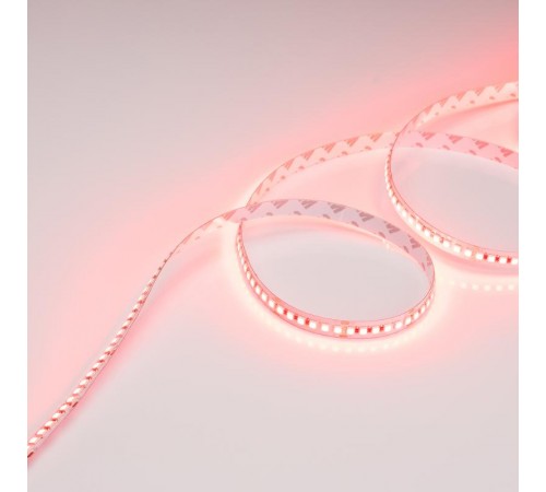 Лента светодиодная RT-G168-10mm 24V RGB (17.3 W/m, IP20, 3838, 5m) (arlight, Открытый)  028256(2)  Arlight