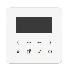 Дисплей DABCDBT-DISPWW Jung