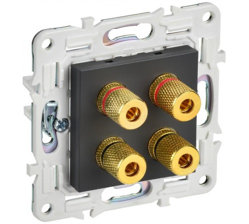 SKANDY Аудиорозетка 4-местная SK-A01T титан  SK-S40-K48  IEK