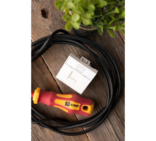 Розетка RJ11 (ширина 2 модуля)  E2MT01-134-10  EKF