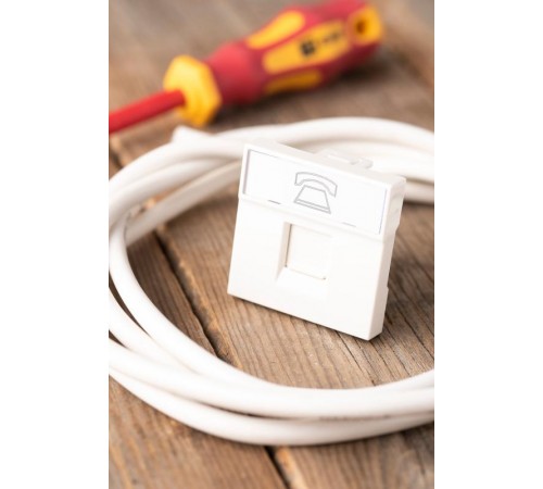 Розетка RJ11 (ширина 2 модуля)  E2MT01-134-10  EKF