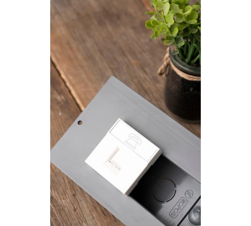 Розетка RJ11 (ширина 2 модуля)  E2MT01-134-10  EKF