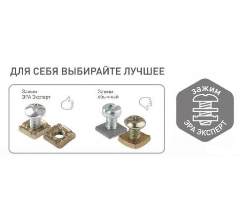 Розетка 11-2201-11  2P, 16АХ-250В, ОУ, Эксперт, Сосна (24/240/4800) Б0020681  ЭРА