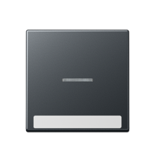 Клавиша с полем для надписи A590BFNAKO5ANM Jung