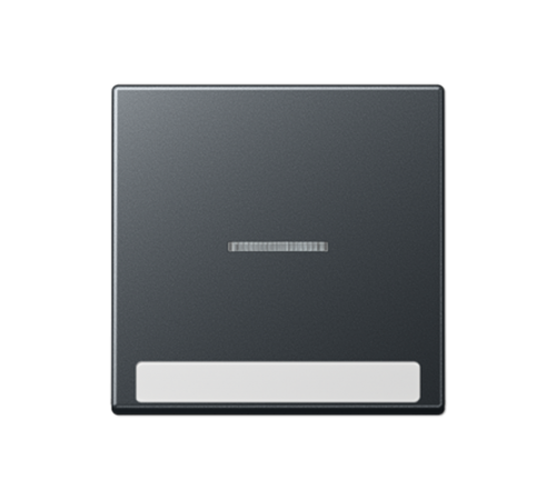 Клавиша с полем для надписи A590BFNAKO5ANM Jung