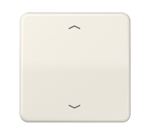 Центральная плата для вставок управления двигателями CD1700P Jung