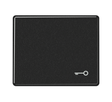 Клавиша для выключателя с символом "ключ"; черная  SL590TSW  Jung