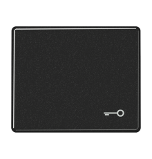 Клавиша для выключателя с символом "ключ"; черная  SL590TSW  Jung