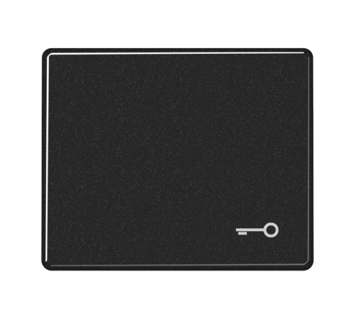 Клавиша для выключателя с символом "ключ"; черная  SL590TSW  Jung