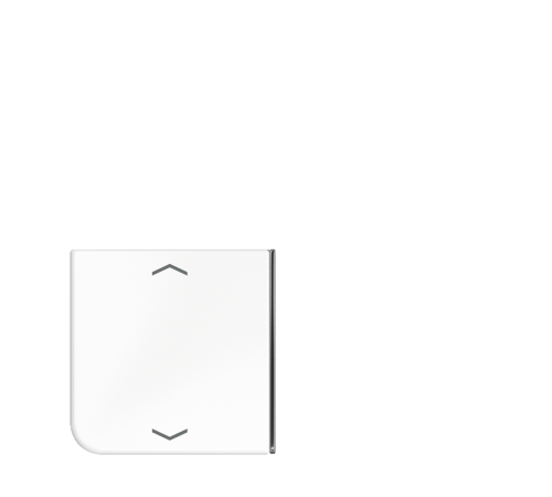 клавиша с символом для 3 и 4-клавишного пульта KNX, белая, для серии CD ( нижняя левая; верхняя правая  и нижняя левая)  CD404TSAPWW23  Jung