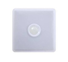 Светильник светодиодный СПБ-2Д-КВАДРАТ 14Вт 230В 4000К 1100лм 190мм с настраиваемым датчиком белый  4690612022093  IN HOME