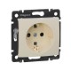 Valena Сл. кость Розетка 1-ая с/з с защитными шторками  774321  Legrand