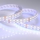 Лента светодиодная RT-B144-19mm 24V RGBW-Day (32 W/m, IP20, 5060, 5m) (arlight, -)  018144(2)  Arlight