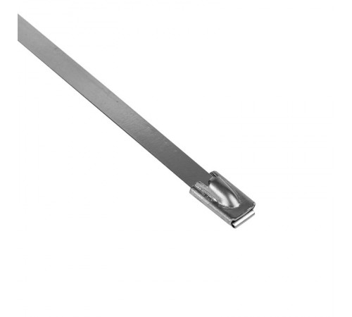 Хомут AISI 304 из нержавеющей стали, 4.6x200 (10 шт.) FlexLock PROxima  plc-fl-tss-304-4.6x200-r  EKF