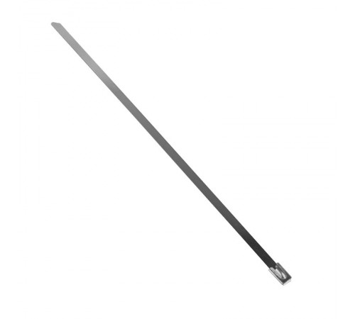 Хомут AISI 304 из нержавеющей стали, 4.6x200 (10 шт.) FlexLock PROxima  plc-fl-tss-304-4.6x200-r  EKF